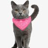 for Puppy Kitten Triangle Bandana Dog  Collars Pet Supplies Dog Saliva Towel Dog Bandana