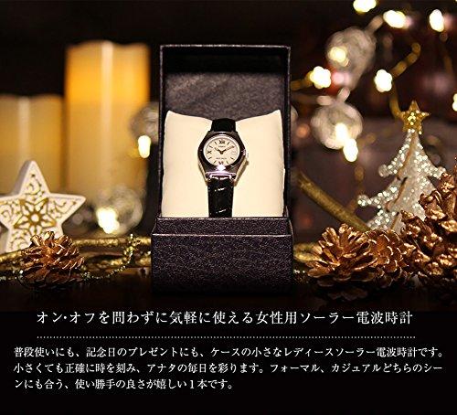 LWQ-10LJ-4A2JF wave ceptor solar ladies