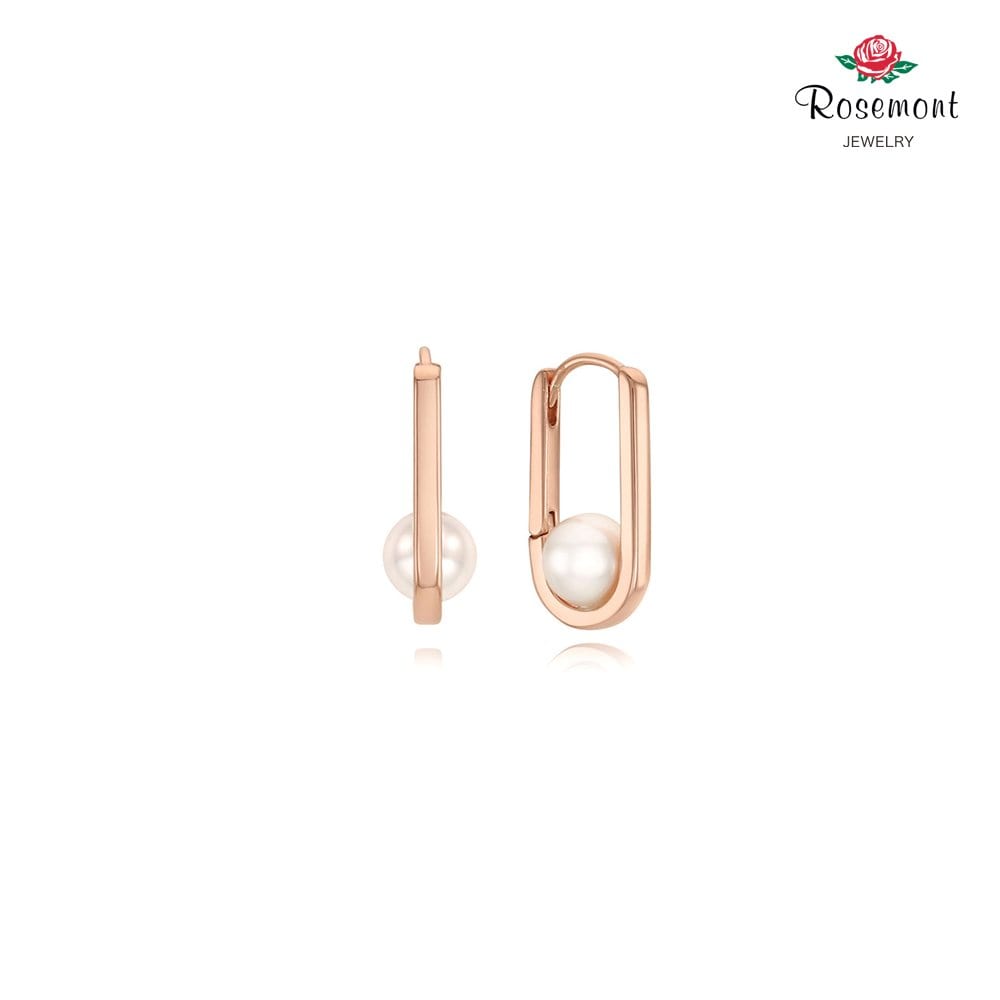 [Rosemont] Silver Earrings Rc0279
