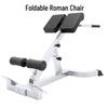 Adjustable Foldable Home Gym Roman Chair & Preacher Curl Bench for Sit-ups and Ab Workouts
