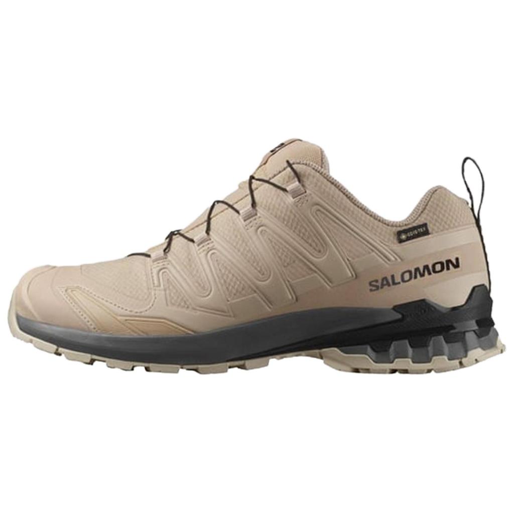 SALOMON XA Pro 3D V9 Running Shoes Men's Brown 478820
