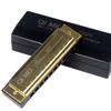 QIMEI Blues Harmonica 10 24 28 Holes Stainless Steel C Key High Airtight Set Case 10 Beginner/Advanced (Gold, Holes)