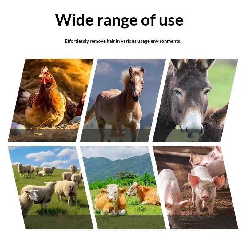 Livestock Hair Removal Blade Disc Stainless Steel Sharp Sturdy Efficient Cutter for Farm Pig Cow Sheep Grooming