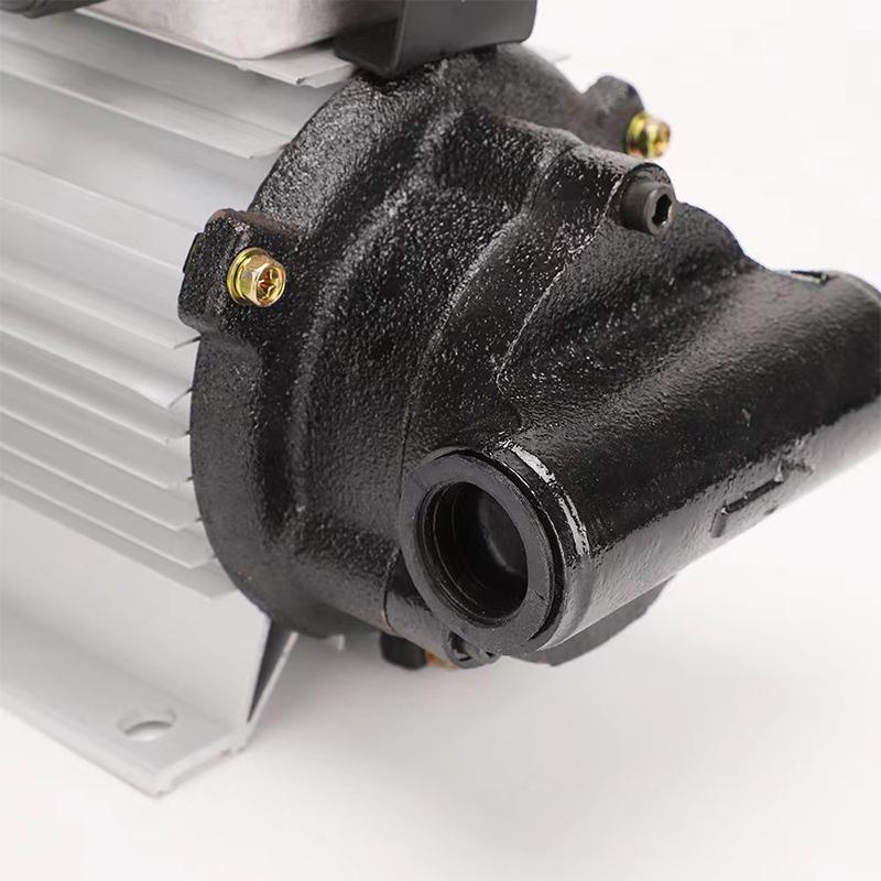 220V 750W Car Electrical Self-priming Portable Micro Gear Oil Oil Transport Pump Oil Filling Machine Electric Oil Transport Pump