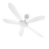 FG10-70 Ceiling Fan