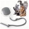 Smart Interactive Pet Ball Toy For Cats And Dogs
