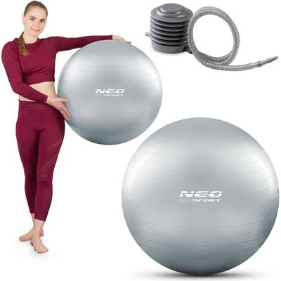 Exercise Ball 65 Cm NS-951 Silver
