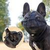 Anti-barking Bulldog Mask Anti-biting Pet Dog Muzzles Practical Pet Dog Mask  Outdoor