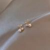 Niche Style Female Earrings Fancy Elegant Zircon