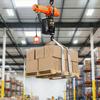 1000 kg Electric Chain Hoist, 3 m Lifting Height, 230V Single Phase Overhead Crane with 100 m Wireless & 2.4 m Wired Remote Control, Power Electric