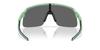 Oakley Sunglasses 0OO9496 SUTRO MATTE TRANS JADE PRIZM BLACK 94961134 LITE S Polarized [Oakley]