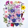 DIY Dried Flower Specimen Sticker Set for Kids: Handmade Pressed Flower Frames & Resin Bookmark Craft Kit
