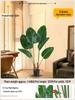 Artificial Bird of Paradise Tree - Luxurious Greenery for Living Room Décor
