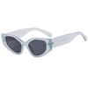 Cats Eye Sunglasses Women Uv400 Polarized Fashion Outerwear For Outdoor Activities