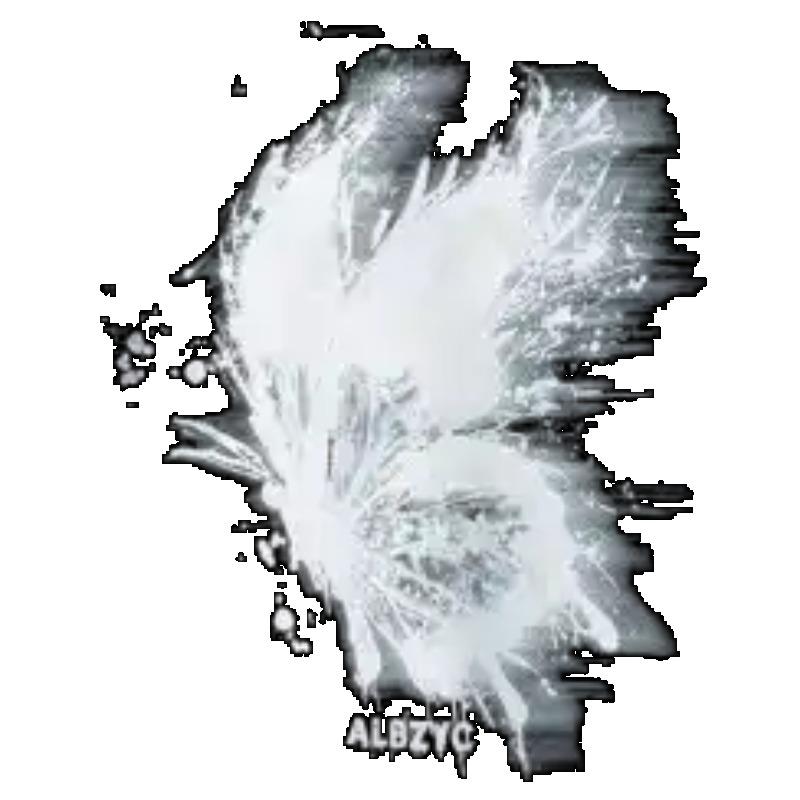 Oversized T Shirt Black Feather Print and ALBZYC Logo Casual Streetwear for Women