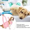 Dog Walking Aid Kit Auxiliary Collar Leash with Lifting Handle Pet Recovery Support for Old and
