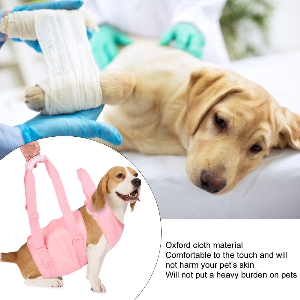 Dog Walking Aid Kit Auxiliary Collar Leash with Lifting Handle Pet Recovery Support for Old and