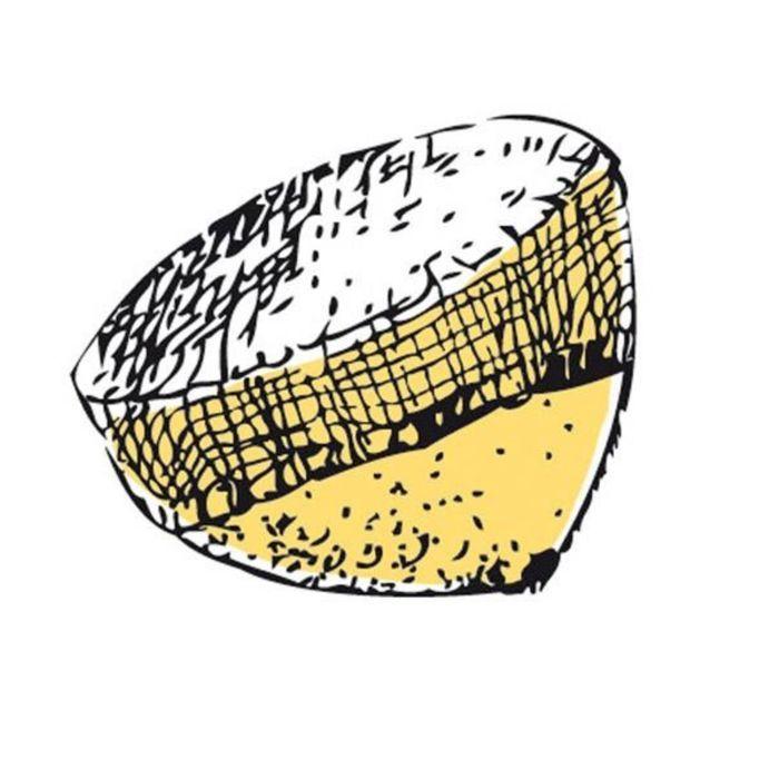 84 Filets presse-citron