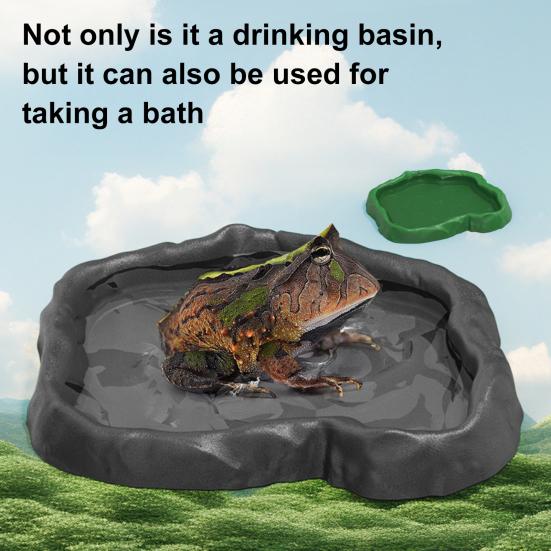 Reptilmater Terrariumskål Skilpaddefôr og Vannmateskål for Skilpadde Øgle Gekko Skjeggagam