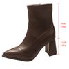 Fashion Women Pointed Toe Block Heel Booties Skinny Boots High Heel 2025 New Spring and Autumn French Style