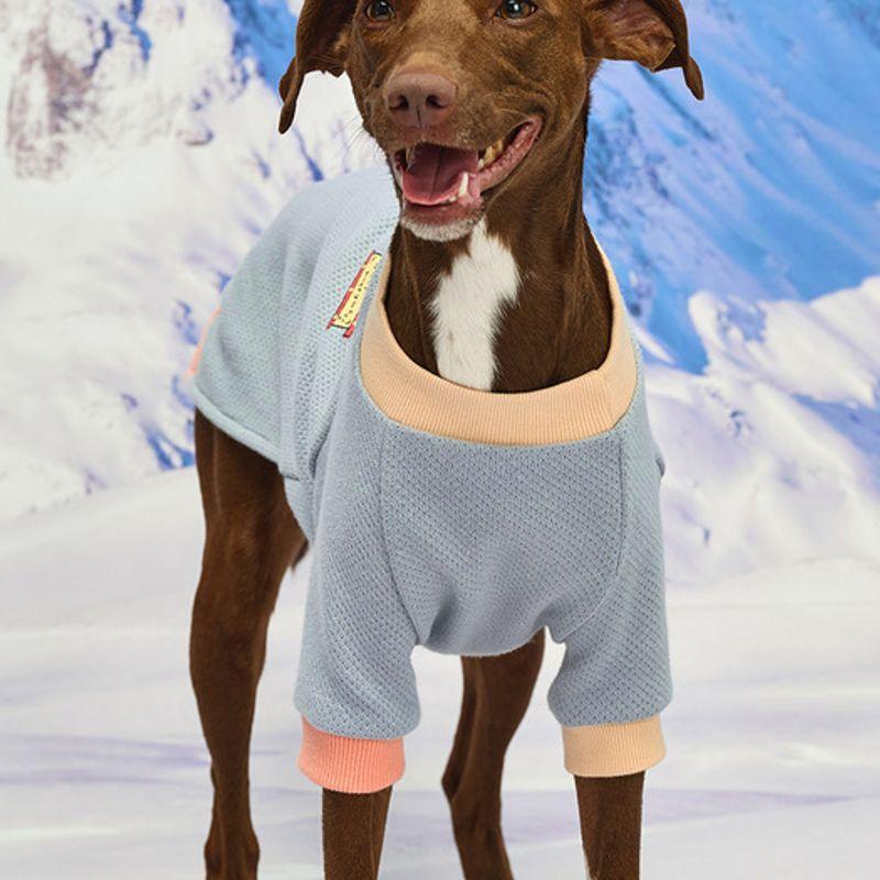 MUNIKUND Wuff Pullover - Blue