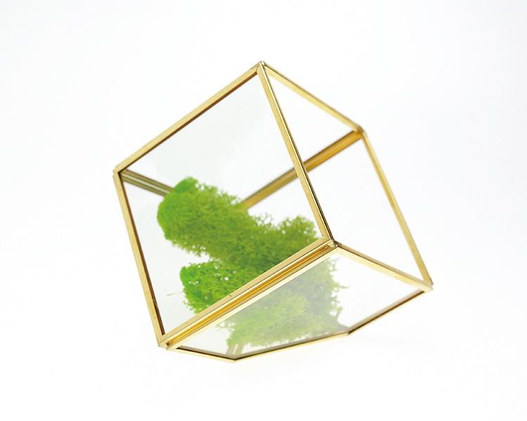 Small Retro Cube Glass Greenhouse for Preserved Flowers and Succulents