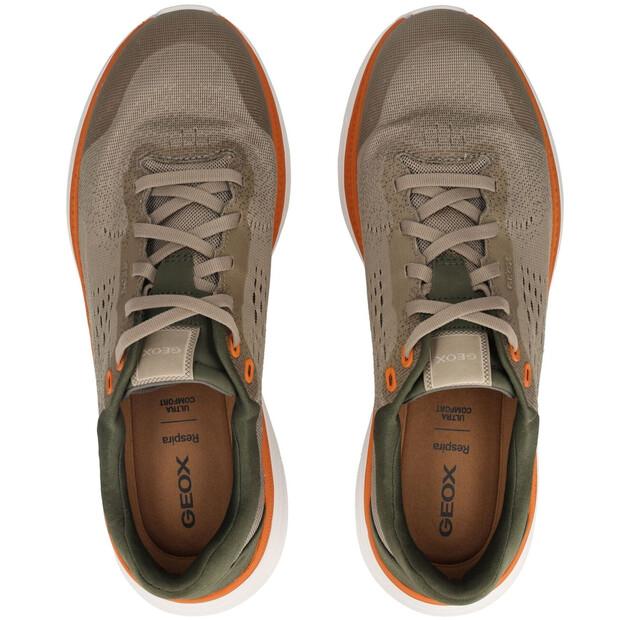 Кроссовки Geox Spherica Actif X