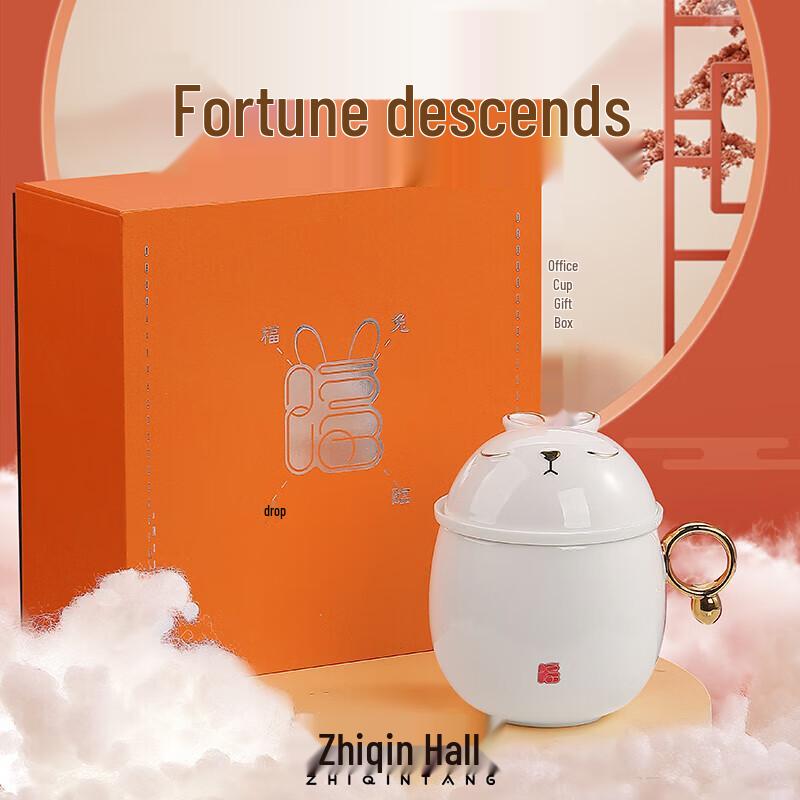 Zhiqintang Ceramic Office Mug Gift Set with Infuser