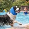 Noise Reduction Dog Ear Muffs Waterproof Pet Bathing Cap Calming Hoodie Pet Calming Hood  Firework