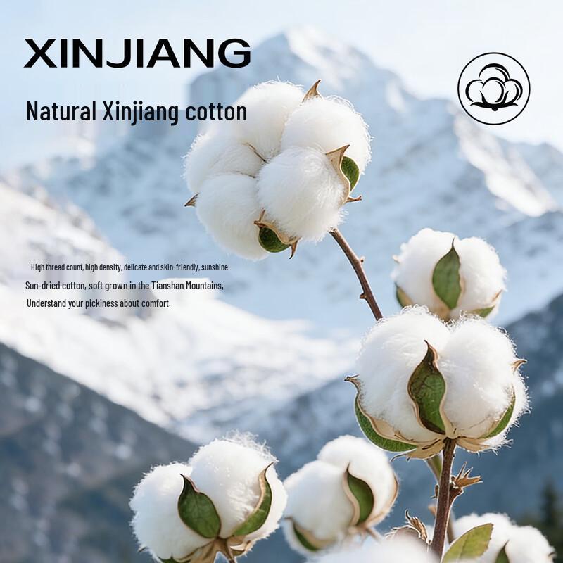 Men's Modal Cotton Antibacterial Boxer Briefs 5-Pack