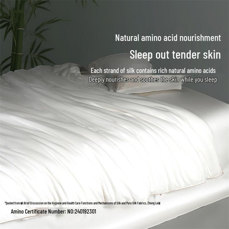 Mercury Home Textiles 100% Silk Quilt