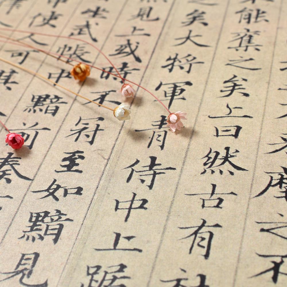 Huaxia Ten Thousand Scrolls: Zhao Mengfu's Calligraphy Masterpiece - Running Script Ode to the Red Cliff