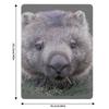 Wombat Throw Blanket Luxurious Soft Fuzzy Blanket for Sofa Bed