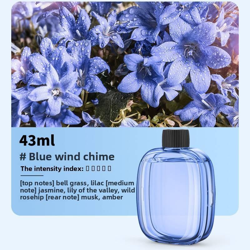 Ultraschall-Diffusor für ätherische Öle mit wiederaufladbarer Batterie für den Heim- und Bürogebrauch