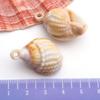 Gold-Plated Natural Shell Conch Pendant for DIY Necklace, Earrings, Wind Chime, or Hanging Ornament.