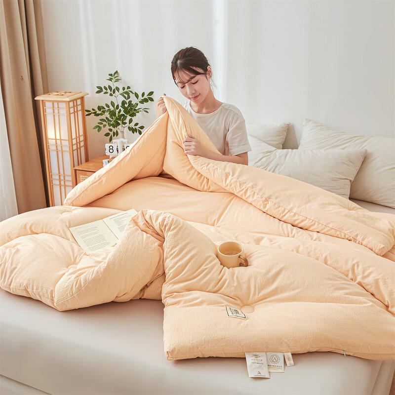 Hongdou A-Class Antibacterial Soybean Fiber Quilt