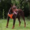 Astro Orange Dog Walking Training Harness Size L