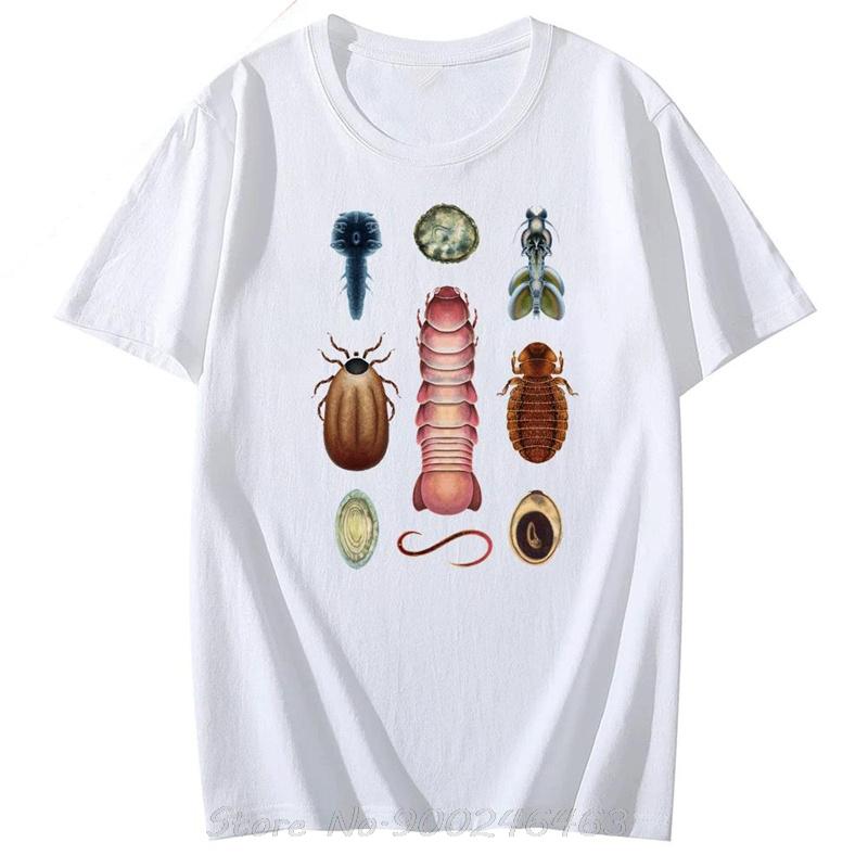 Cottagecore Entomology Tee Vintage Bug TShirt Insect Praying Unisextis Top Gift for Insect Lover Scientific Aesthetic Beetle Shirt