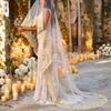 One Tier Cathedral Wedding Veil, White Tulle Bridal Veil with Golden Floral Lace Embroidery, 300cm Long Train Wedding Headwear for Bride