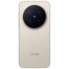 vivo X300 Pro Satellite Edition Smartphone (CN version)