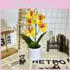 Butterfly Orchid Faux Plant With Premium Finish For Weddings And Photography Props