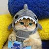 Grenzüberschreitende Katze Hai Dinosaurier Plüsch Haustierhut - Niedliche und Lustige Fotografie Requisite