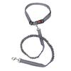 Dog Leash Multifunctional D Ring Reflective Strip Anti Pull Lock Buckle Nylon Dog Rope Leash for Walking