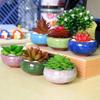 Cute Succulent Flowerpot Thickened Plants Planter Ice-Crack Glaze Ceramic Flowerpots  Office