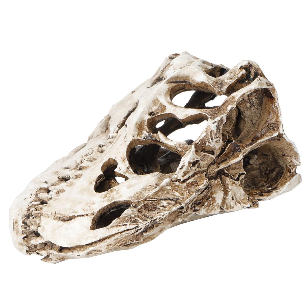 Resin Dinosaur Skull Personality Animal Skeleton Ornaments Props Halloween Collection Craft Decor