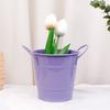Vaso Fiori Colore Caramella Vaso Fiori in Ferro Piccolo con Manico Secchio in Ferro Piante Portapenne per Casa Giardino Ufficio