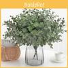 Globulus Plant Eucalyptus Foliage For Home Enhancement Photography Prop