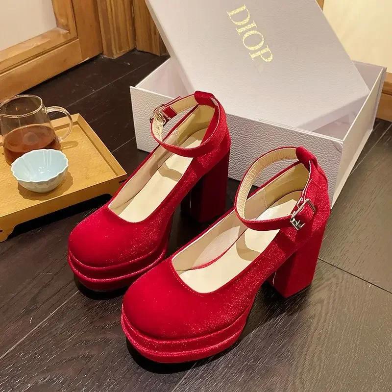 Fashion Platform Mary Janes Shoes Women Suede Luxury High Heel Lace Up Trend Lolita Shoes Elegant Chunky Party Pumps Zapatos De Mujer