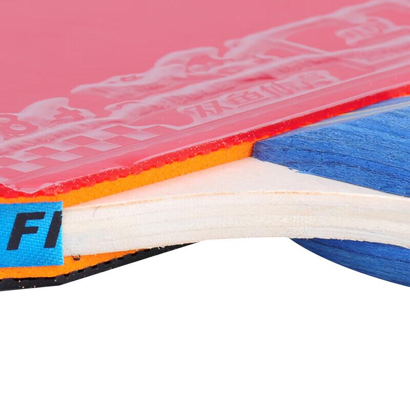 Double Fish Table Tennis Racket Set