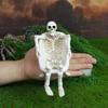 Gothicism Bathtubs Skull Ornaments Durability Waterproofed Resins Halloweens Indoor Outdoor Decoration